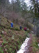 12.23.05 Elowah Falls 016 